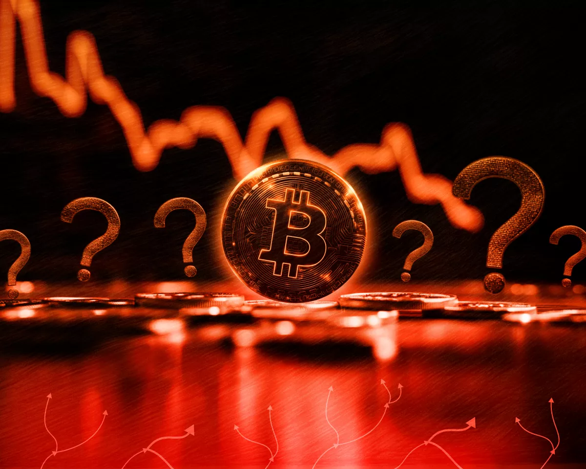 CryptoQuant: Bitcoin's Rally Above $73K Is a 'Dead Cat Bounce,' Not a Bull Market