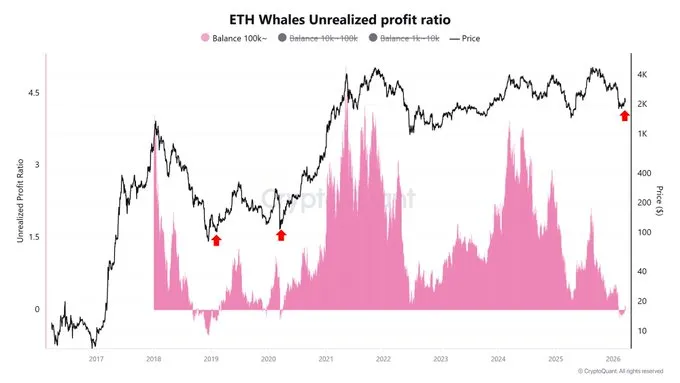 Ethereum whale unrealized profit ratio chart