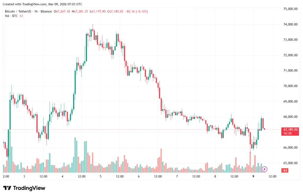 Часовой график BTC/USD на Binance