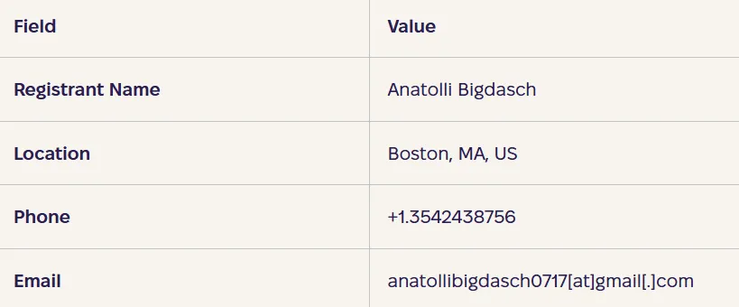 Domain registration data for the fake websites