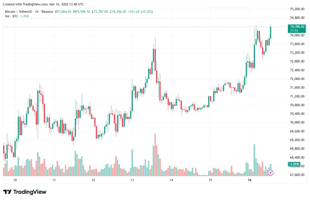 Часовой график BTC/USDT на бирже Binance
