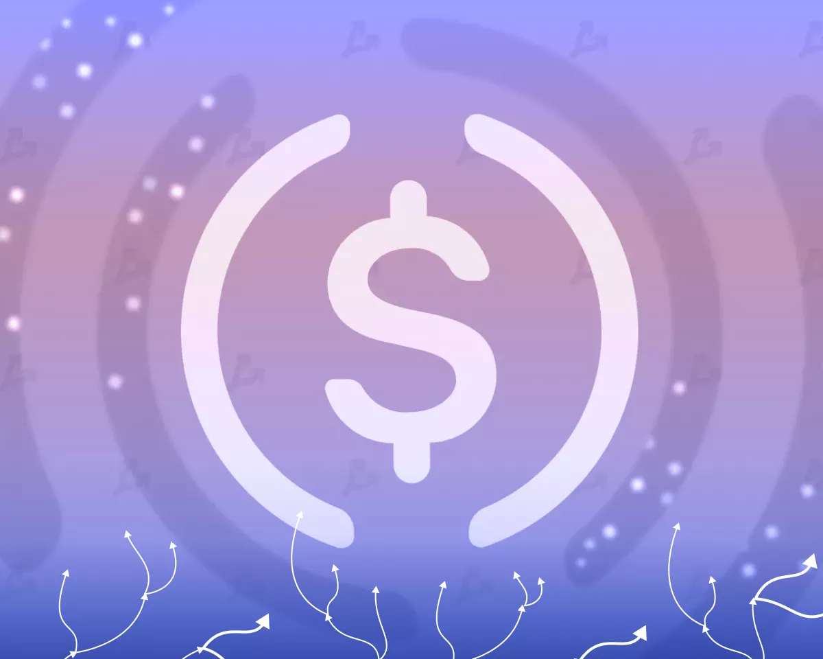Circle Launches USDC Bridge for Native Cross-Chain Transfers