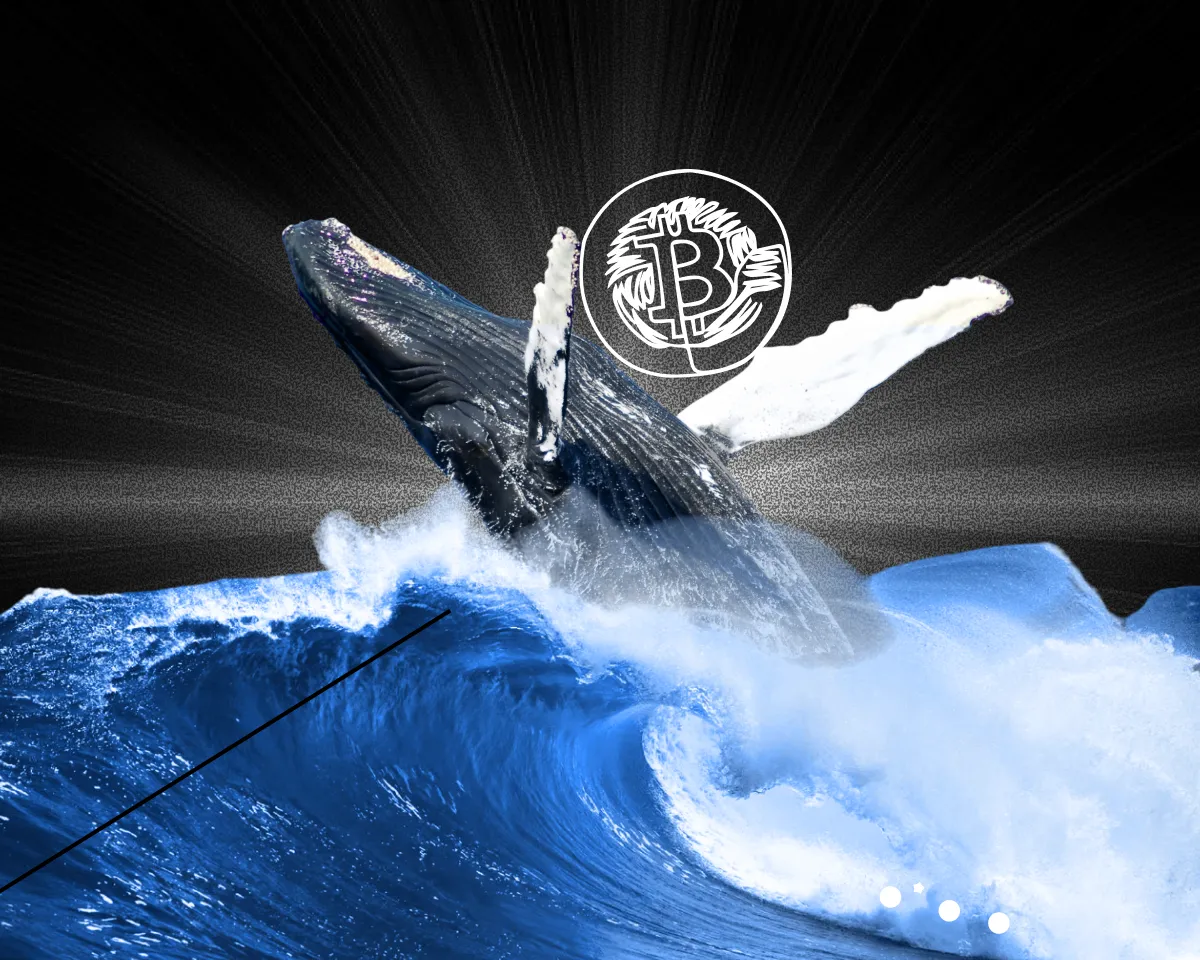 Bitcoin Whales Flip From Accumulation to Distribution as CryptoQuant Flags Structural Selling Pressure